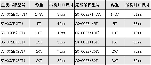 無(wú)線電子吊秤